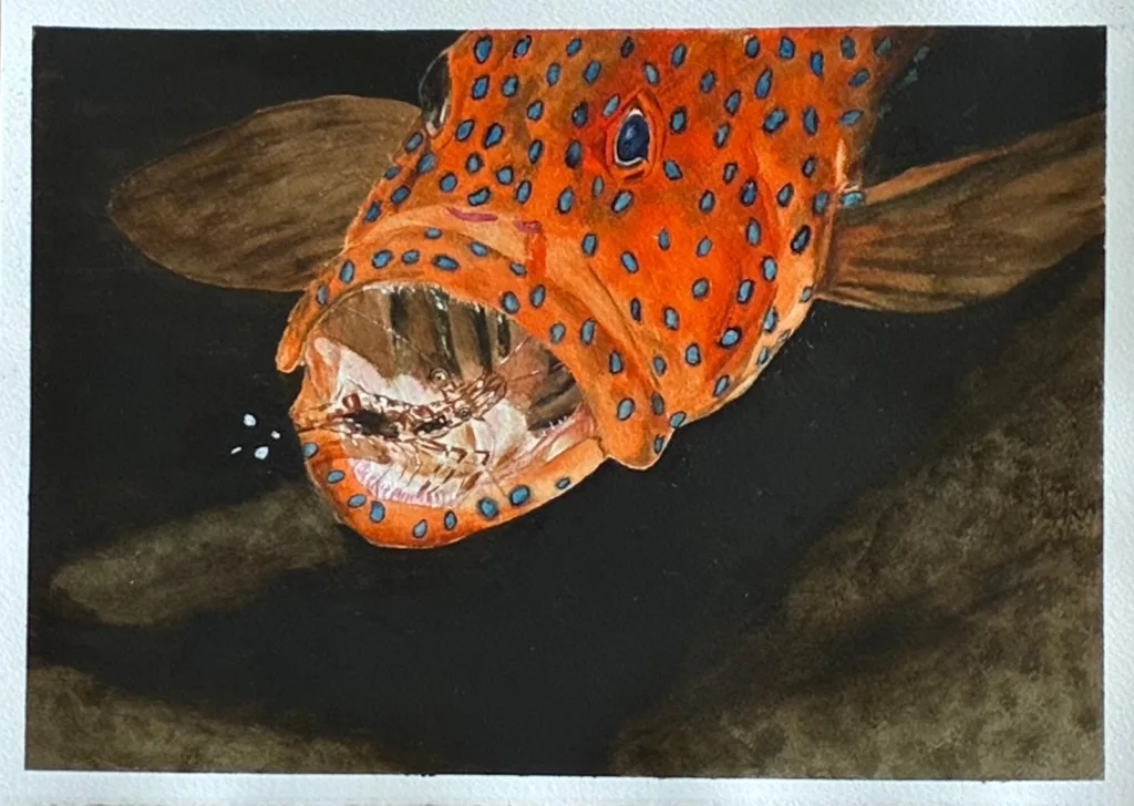 Obra 10