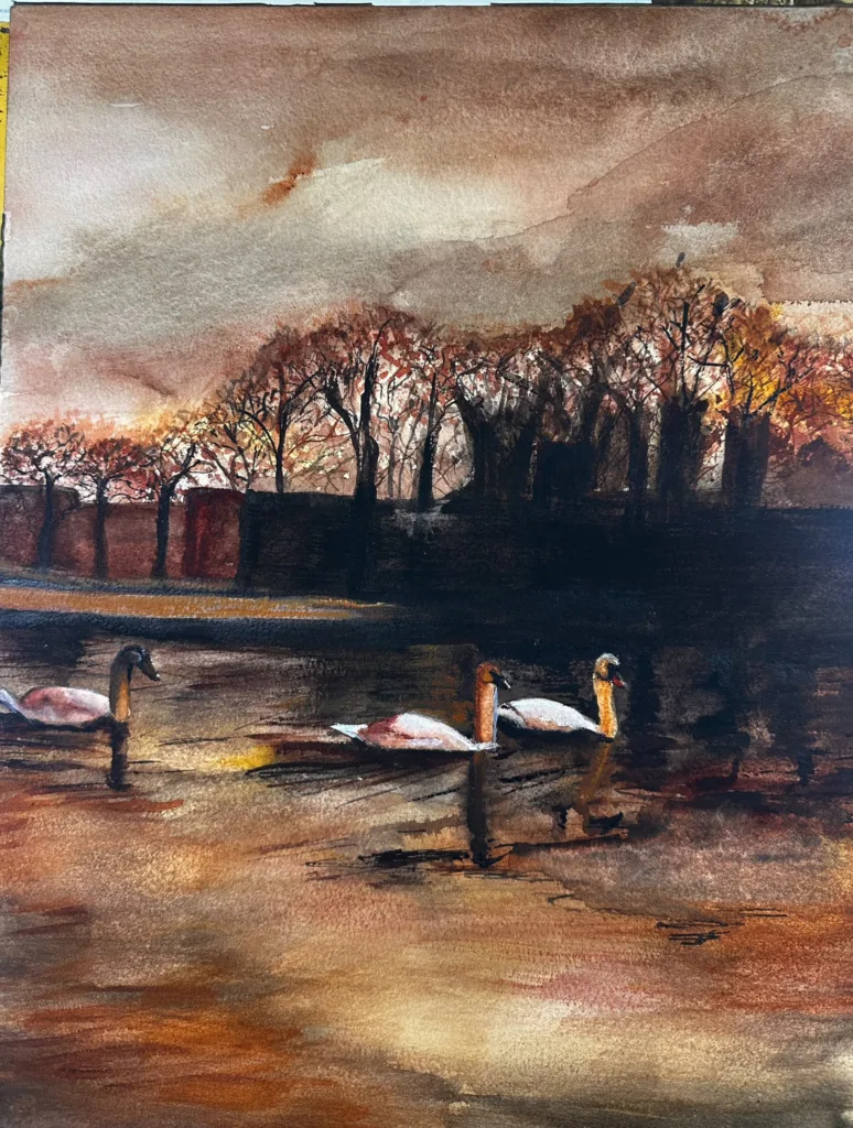 Obra 20