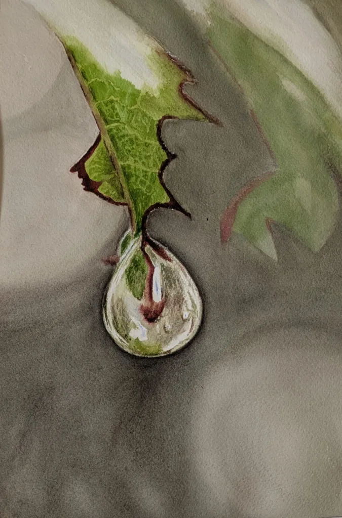 Obra 3